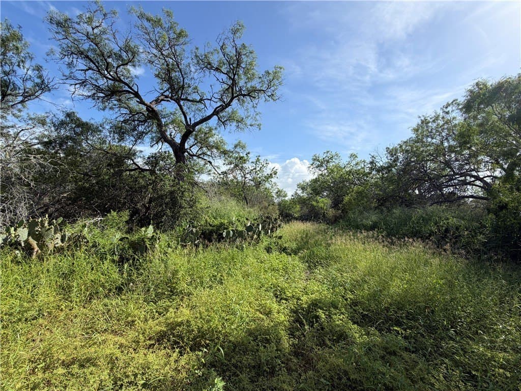 10.51 acres in Live Oak County featured view