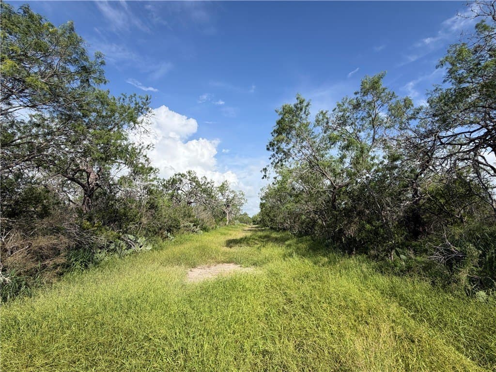 10.51 acres in Live Oak County - photo 6