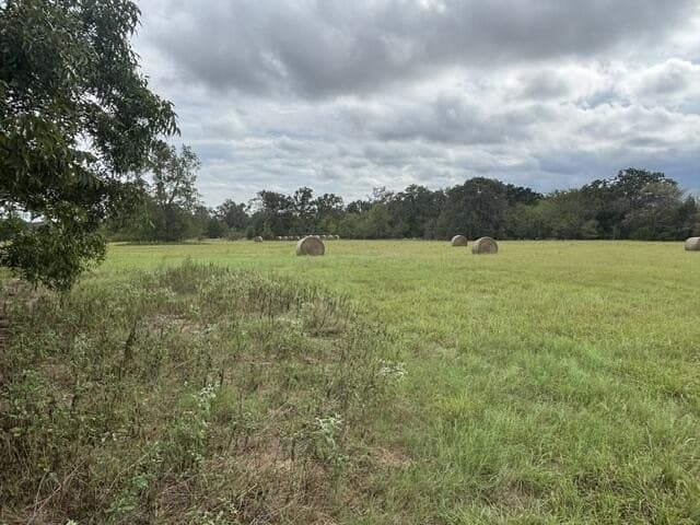 38.44 acres in Henderson County - photo 6