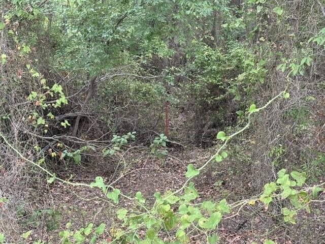 38.44 acres in Henderson County - photo 13