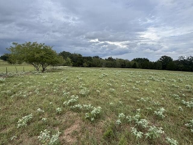 38.44 acres in Henderson County - photo 10