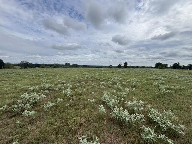 38.44 acres in Henderson County - photo 9