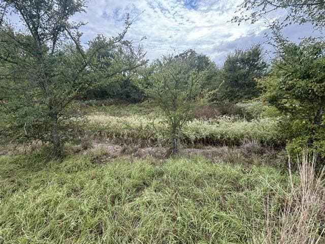 38.44 acres in Henderson County - photo 17