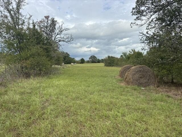 38.44 acres in Henderson County - photo 8