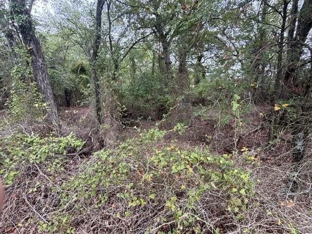 38.44 acres in Henderson County - photo 14