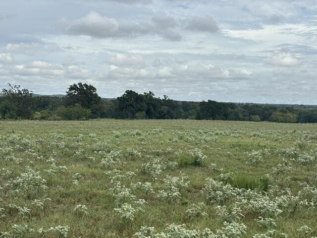 38.44 acres in Henderson County - photo 11
