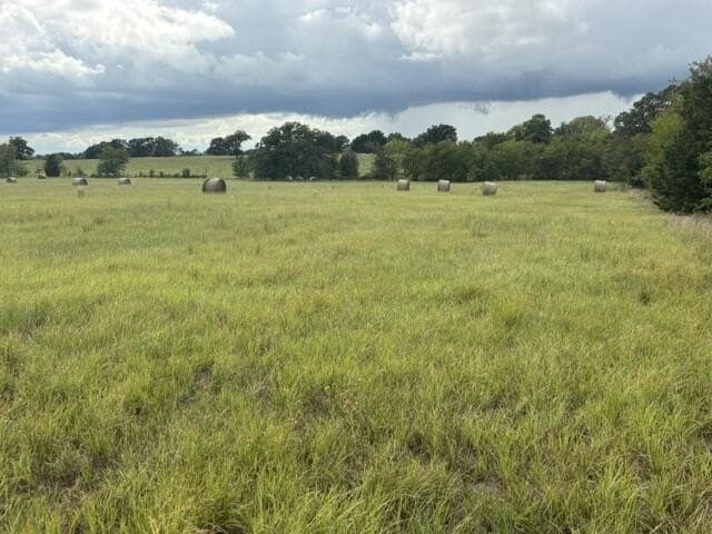 38.44 acres in Henderson County - photo 3