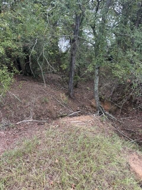 38.44 acres in Henderson County - photo 15