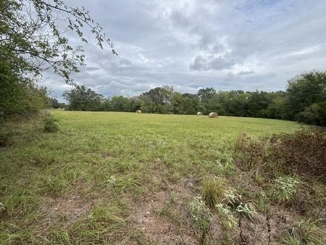 38.44 acres in Henderson County - photo 16