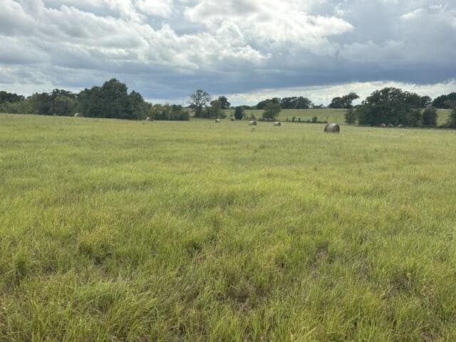 38.44 acres in Henderson County - photo 2