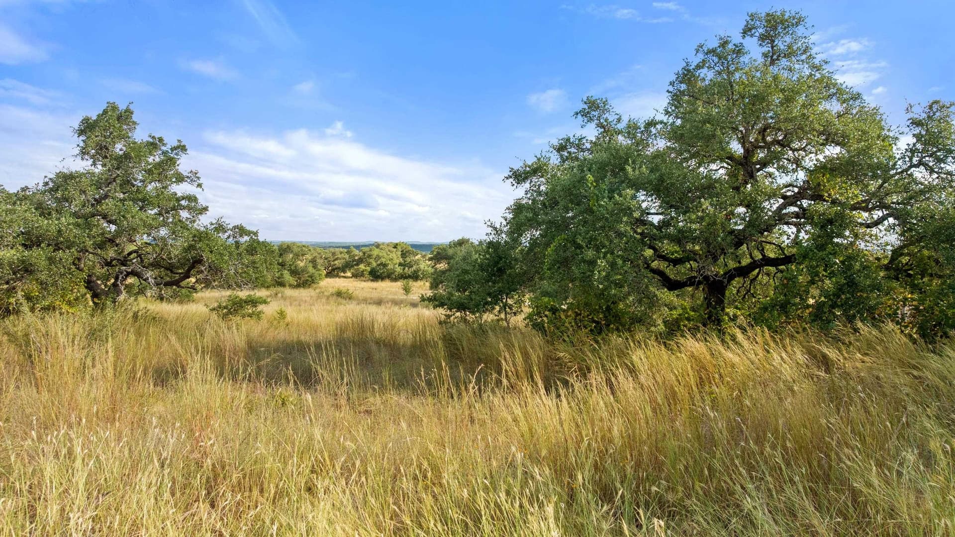 10.01 acres in Blanco County gallery image 4