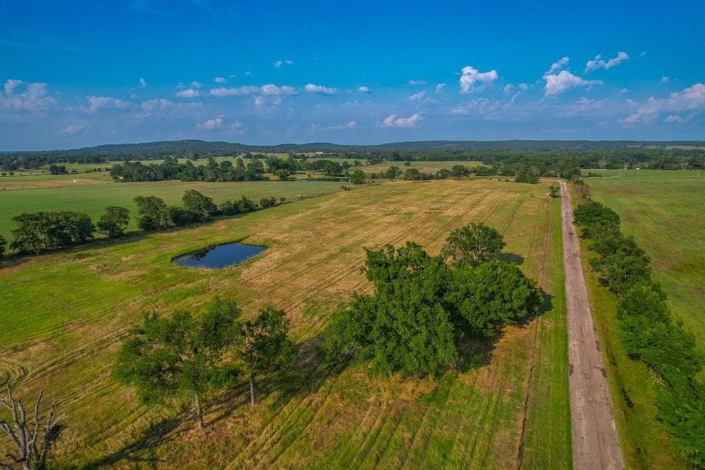 25 acres in Henderson County gallery image 2