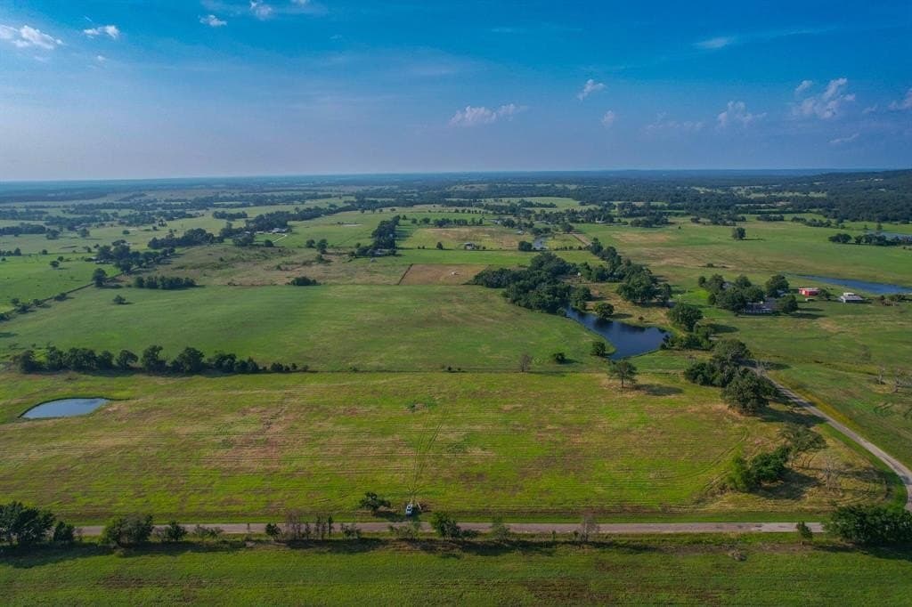 25 acres in Henderson County gallery image 4