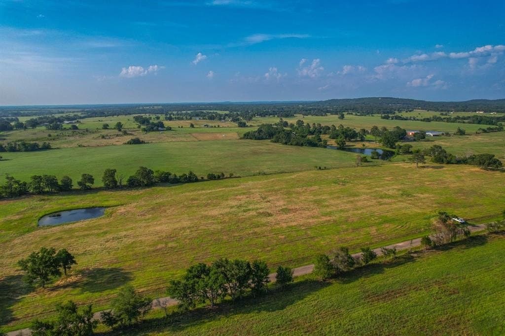 25 acres in Henderson County gallery image 3