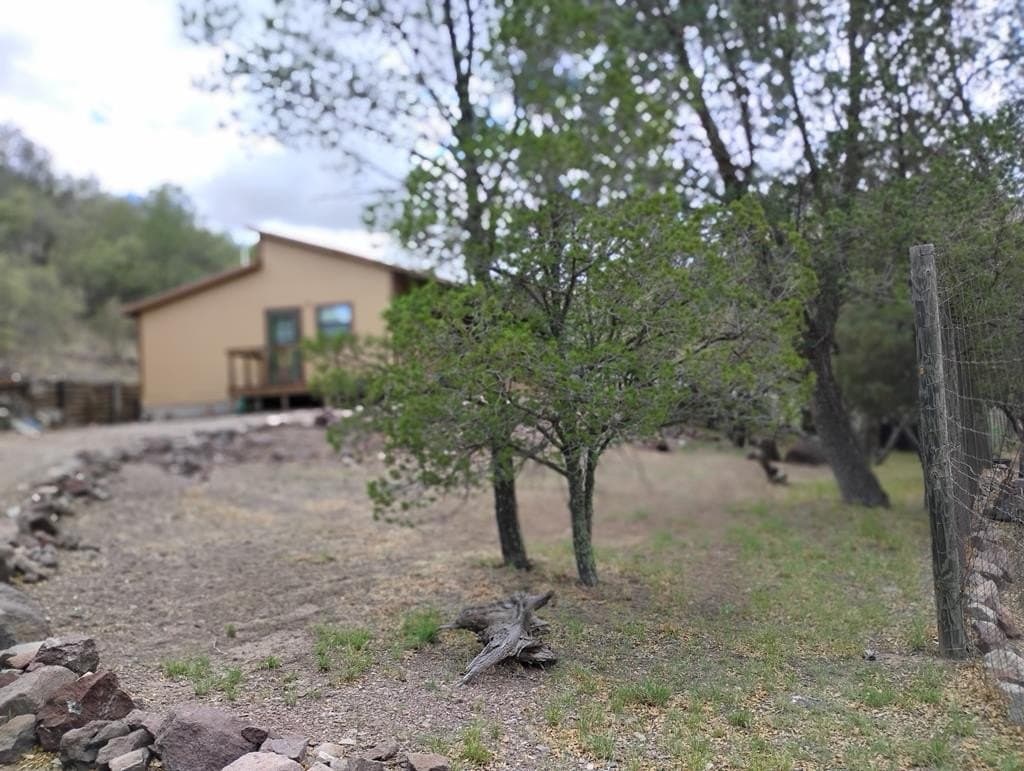 31 acres in Jeff Davis County