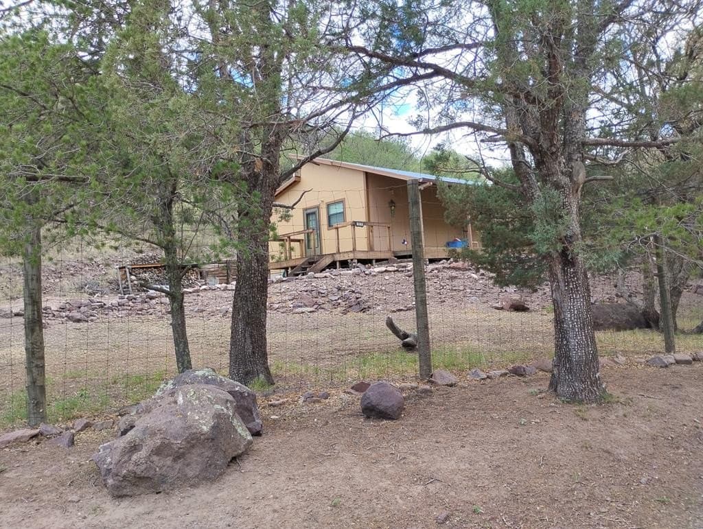 31 acres in Jeff Davis County gallery image 2