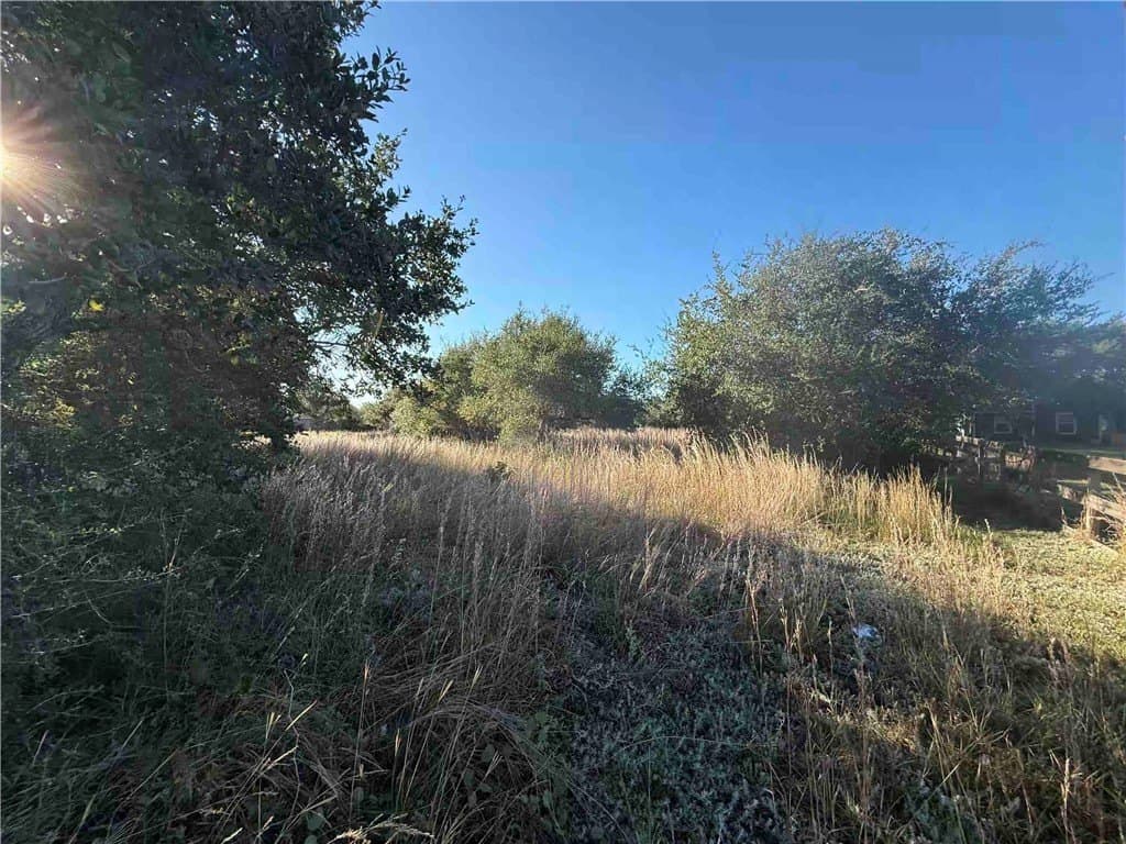 1.32 acres in San Patricio County gallery image 4