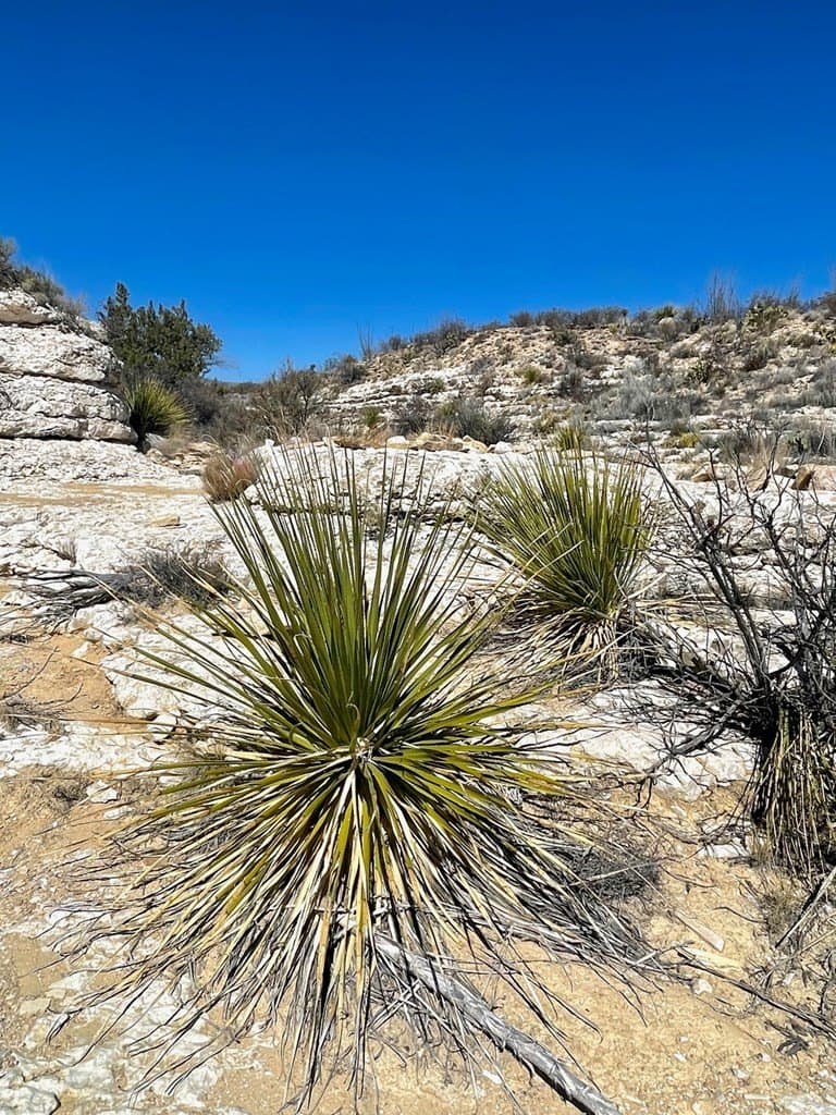 60 acres in Brewster County - photo 16