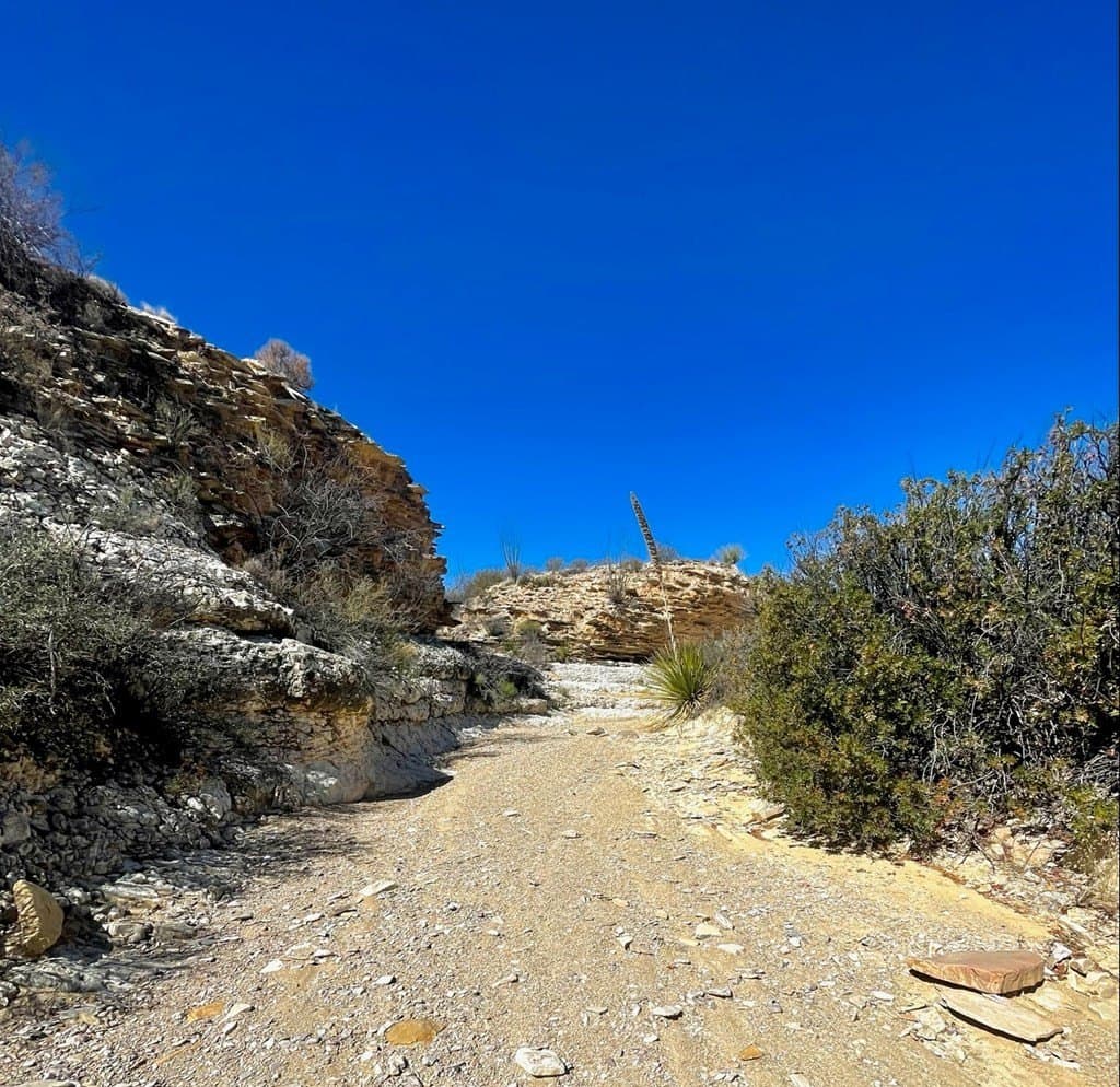60 acres in Brewster County gallery image 4
