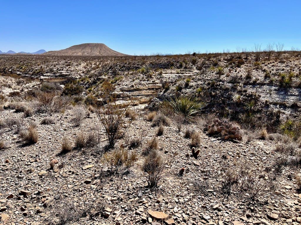 60 acres in Brewster County - photo 13