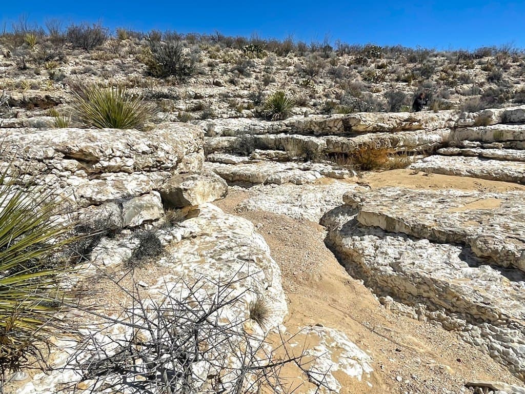 60 acres in Brewster County gallery image 3