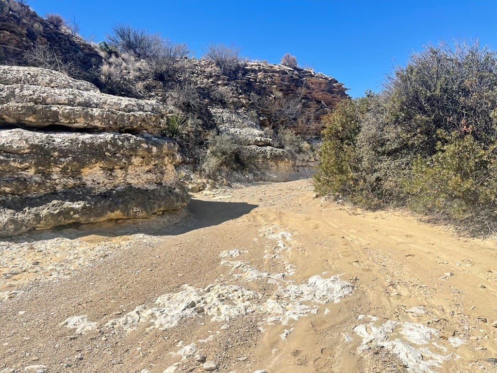 60 acres in Brewster County featured view