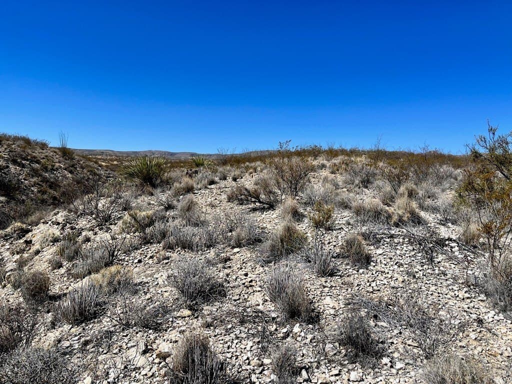 60 acres in Brewster County - photo 10