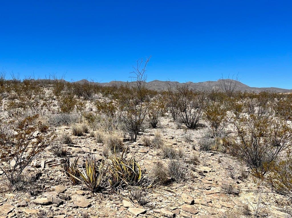 60 acres in Brewster County - photo 11