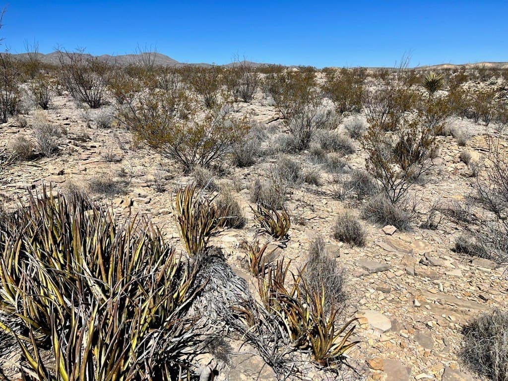 60 acres in Brewster County - photo 14