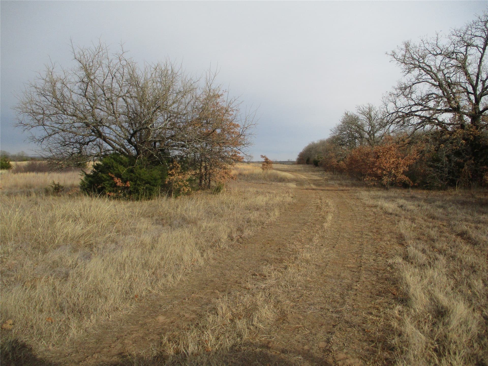 33 acres in Montague County gallery image 2