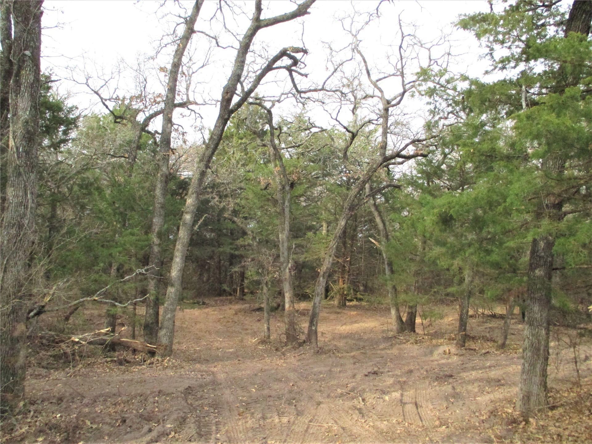33 acres in Montague County - photo 6