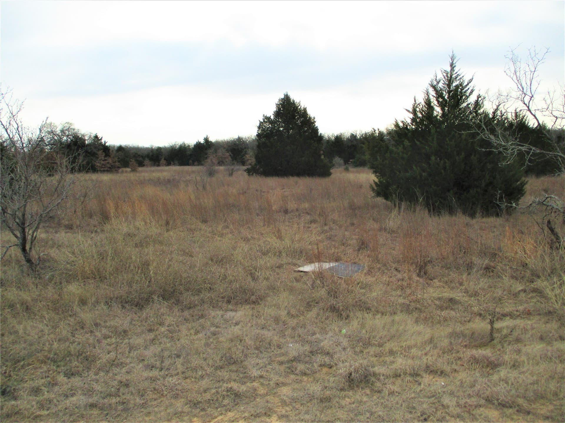 33 acres in Montague County - photo 7