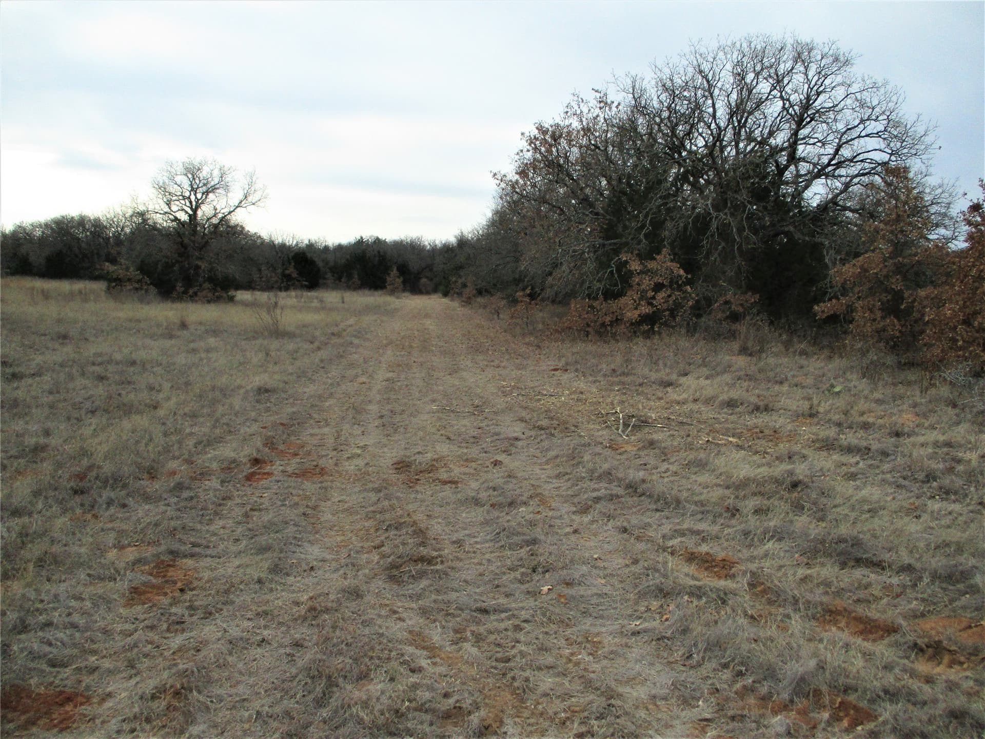 33 acres in Montague County - photo 8
