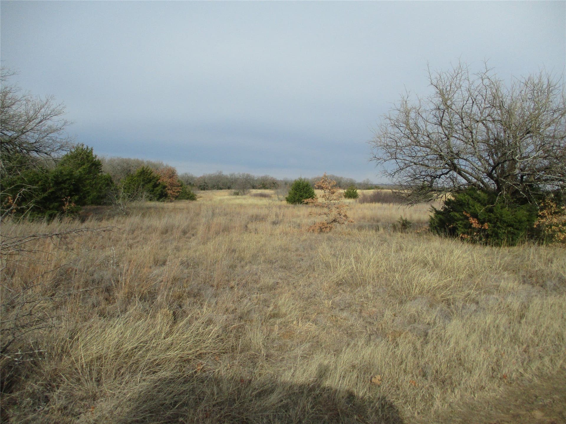 33 acres in Montague County gallery image 3