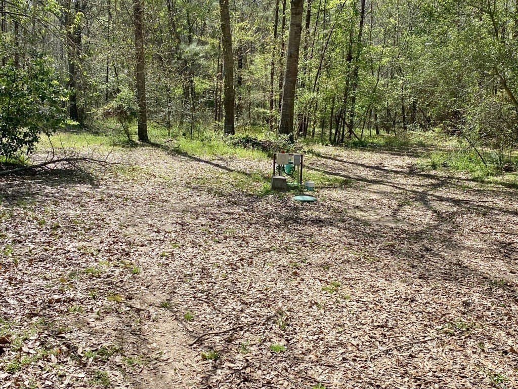 28.25 acres in Texas County - photo 12
