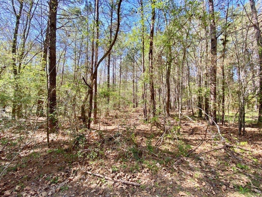 28.25 acres in Texas County - photo 14