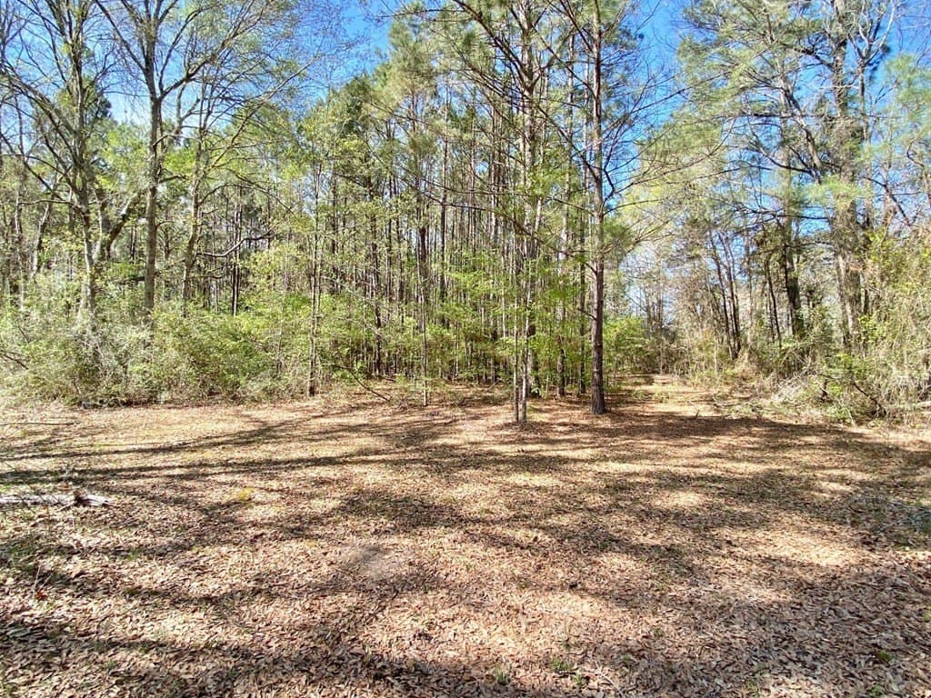28.25 acres in Texas County - photo 19
