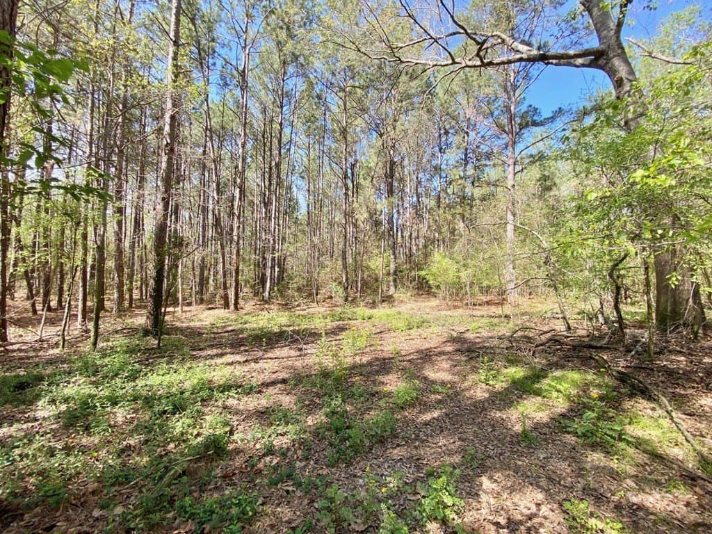 28.25 acres in Texas County - photo 17