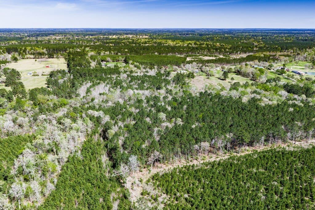 28.25 acres in Texas County - photo 7