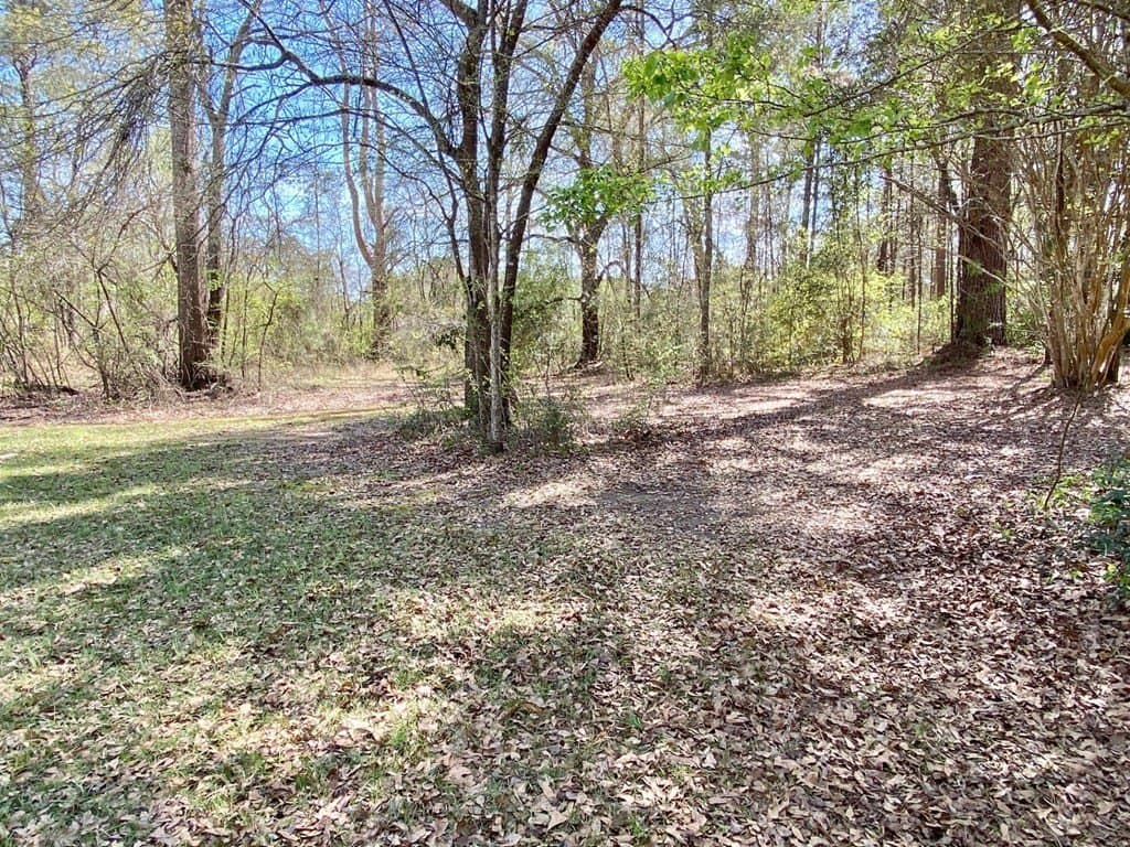 28.25 acres in Texas County - photo 15