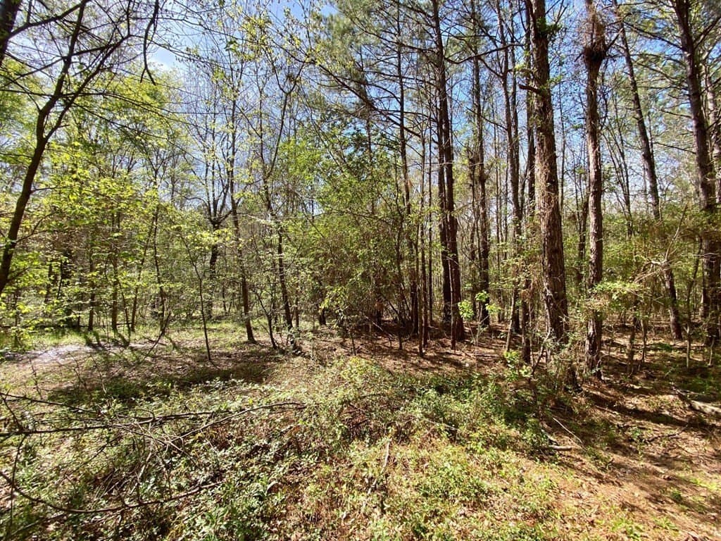 28.25 acres in Texas County - photo 20