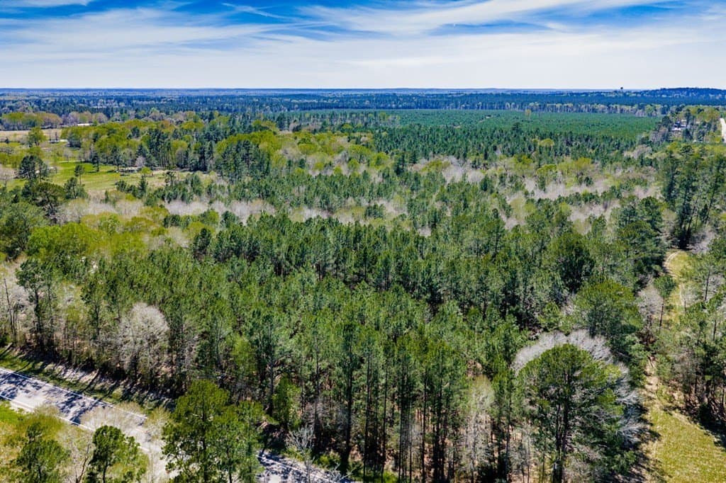 28.25 acres in Texas County - photo 4