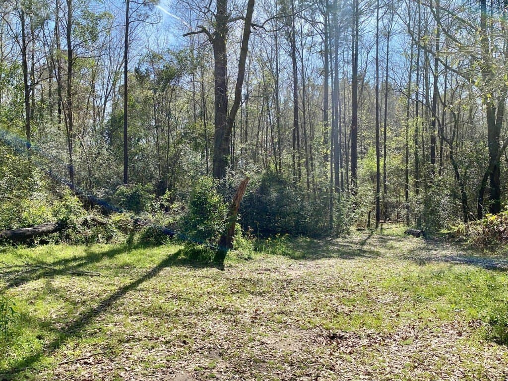 28.25 acres in Texas County - photo 16