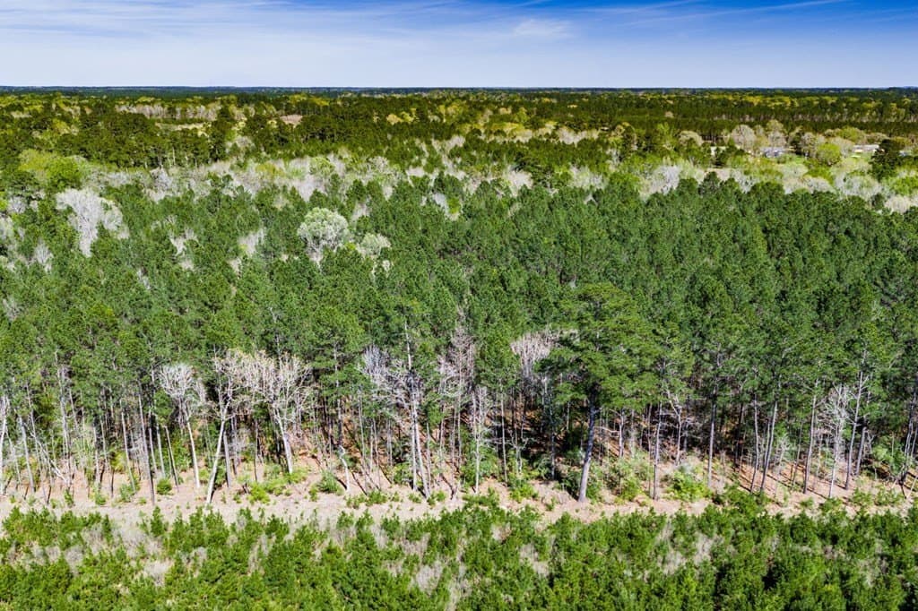 28.25 acres in Texas County - photo 9