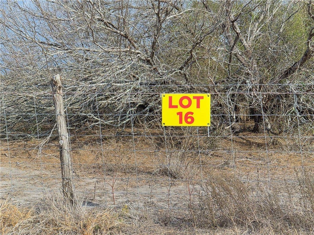 2.52 acres in Kleberg County gallery image 2