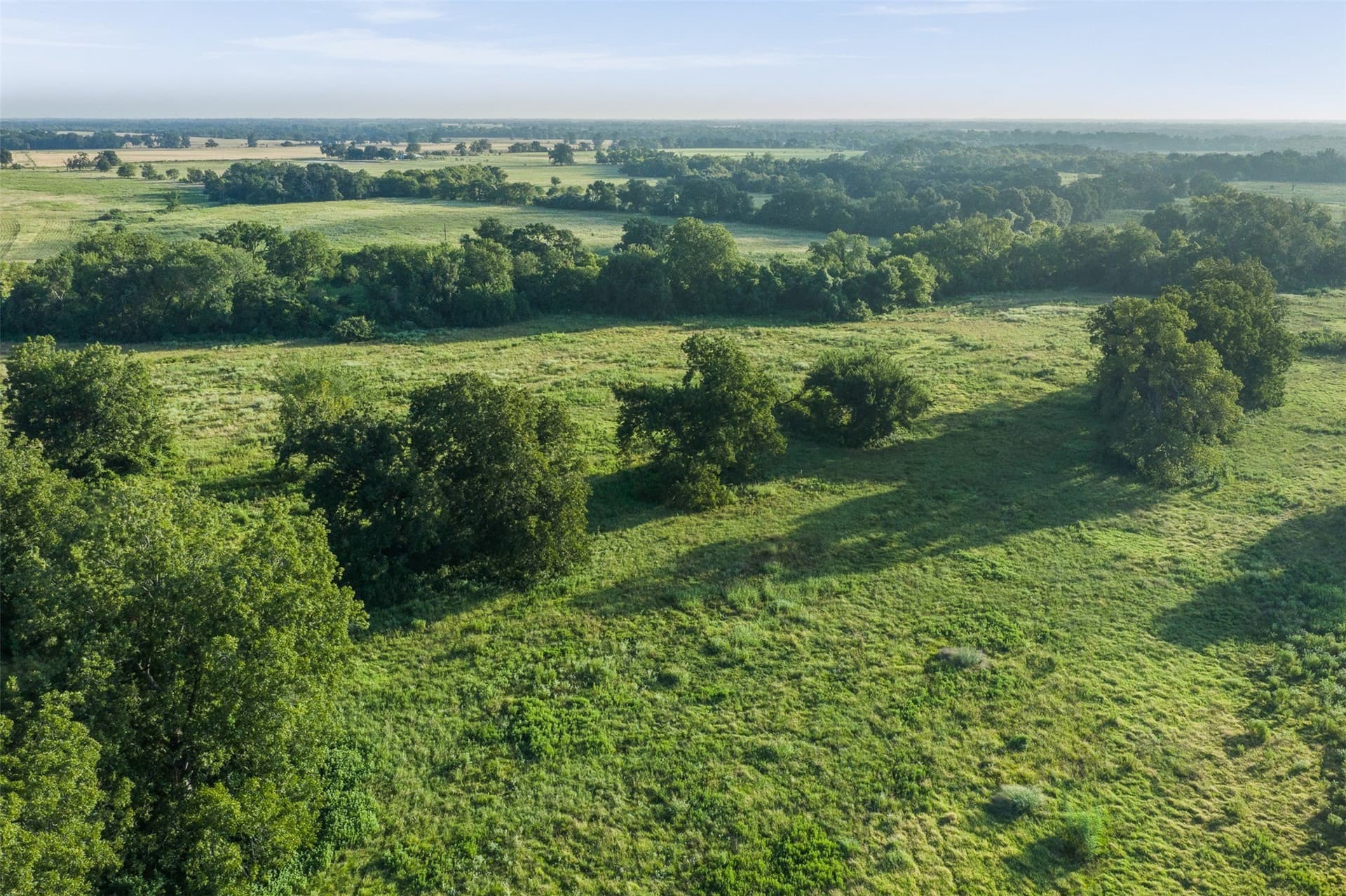 20.01 acres in Limestone County - photo 11
