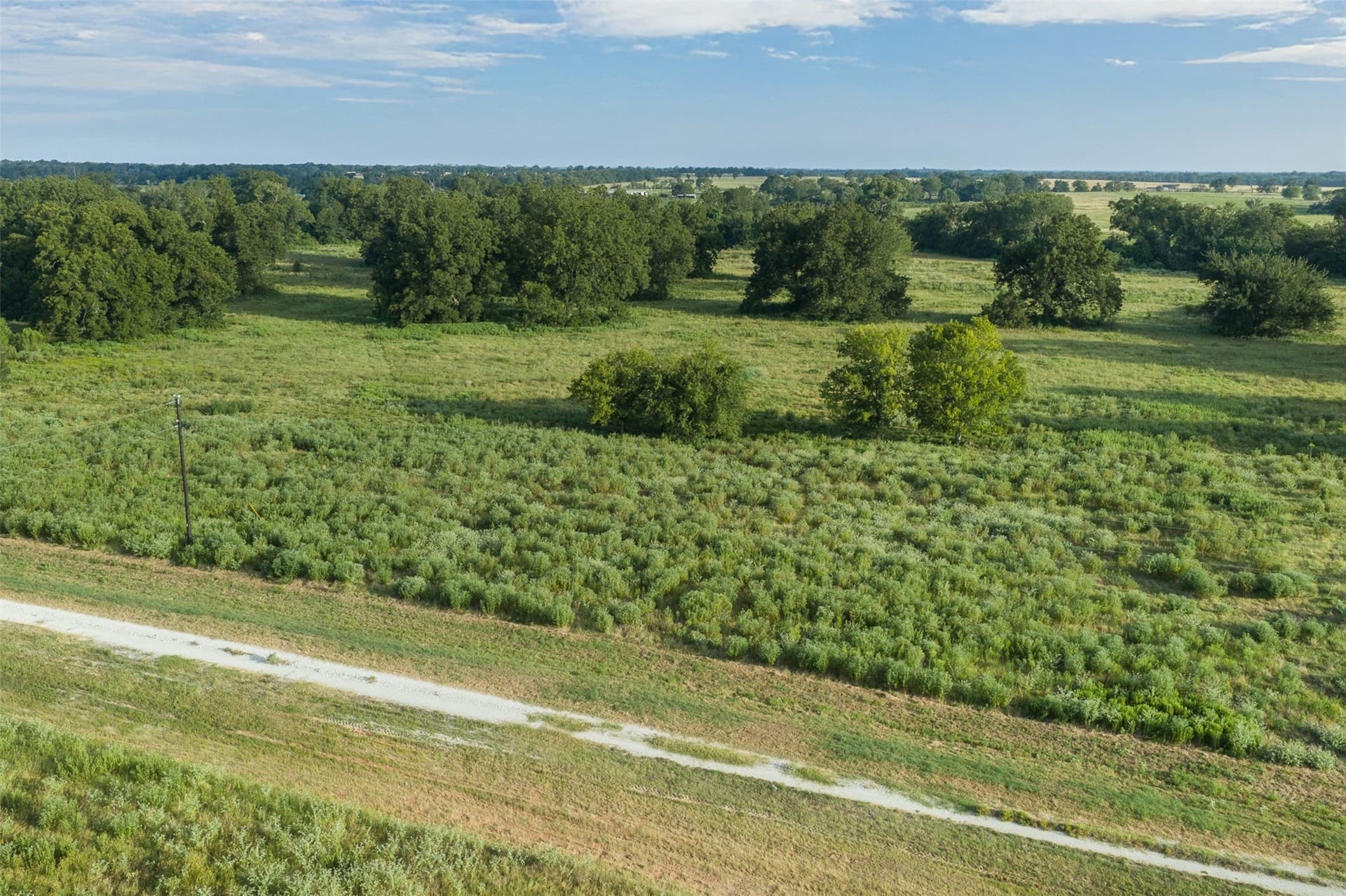 20.01 acres in Limestone County - photo 13