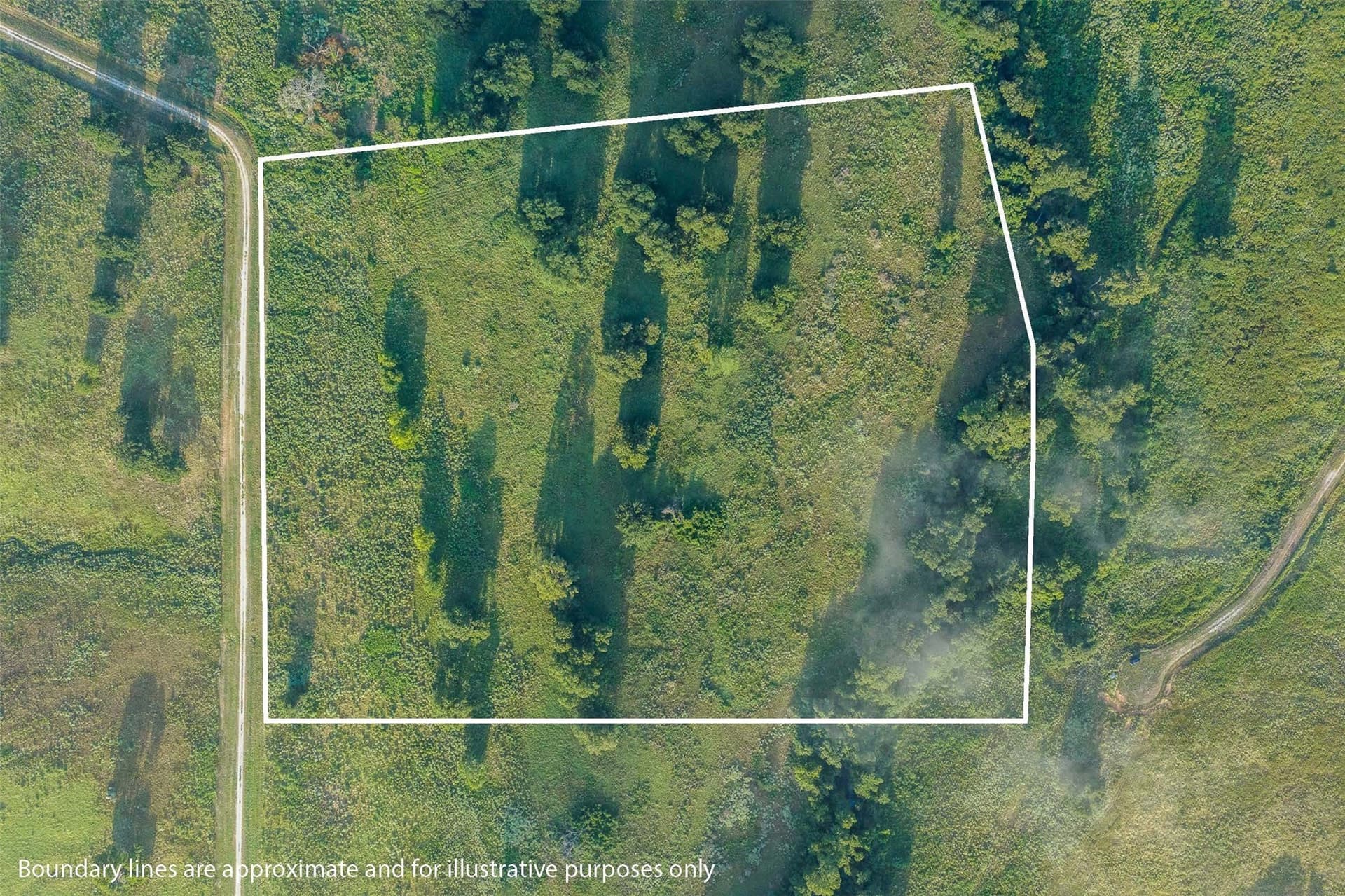 20.01 acres in Limestone County - photo 5