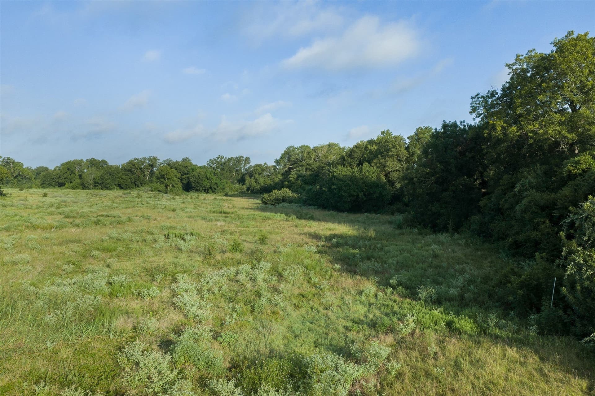 20.01 acres in Limestone County - photo 9