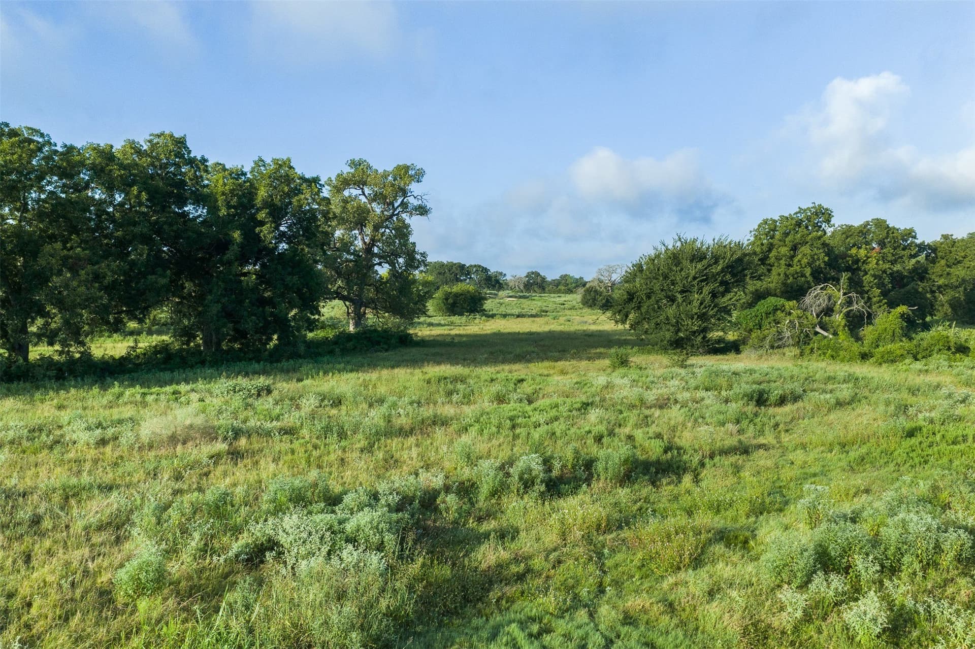 20.01 acres in Limestone County - photo 6